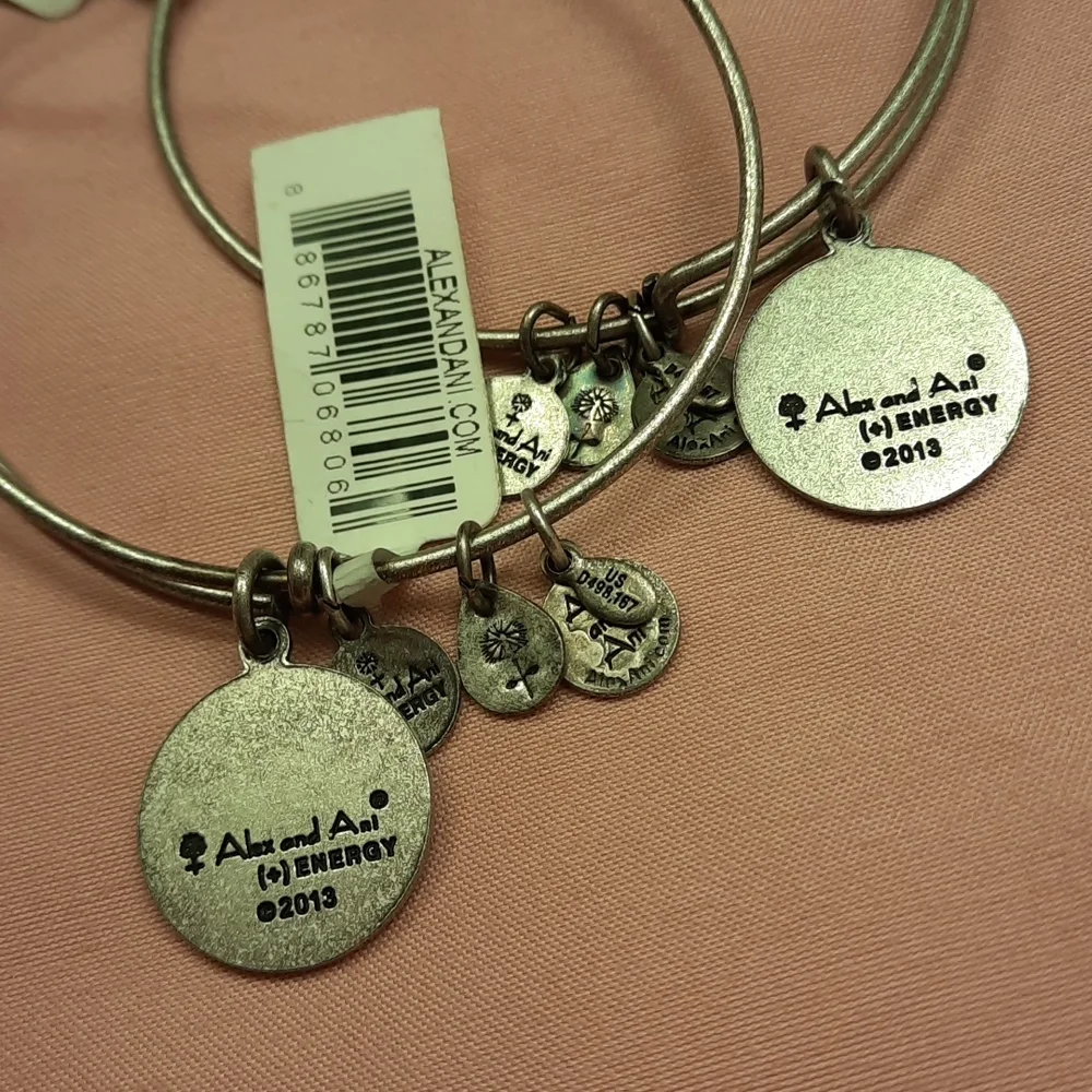 NWT, Bundle of 2 Alex and Ani Air U.S. Air Force Bracelet - Picture 5 of 12